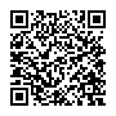 QR code for U301P