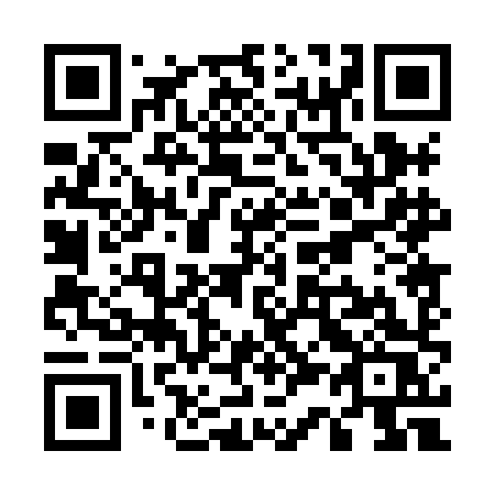 QR code for U308HS