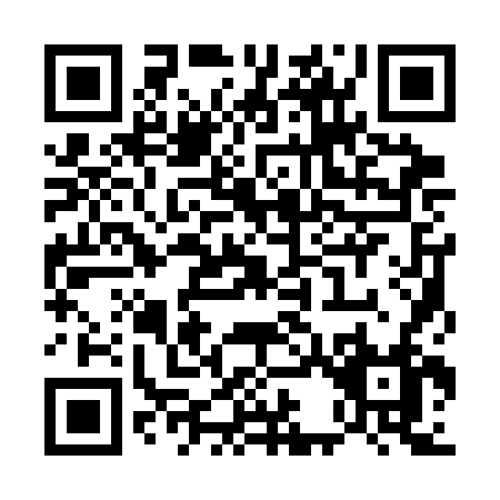 QR code for U313F