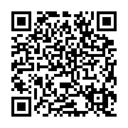 QR code for U333B