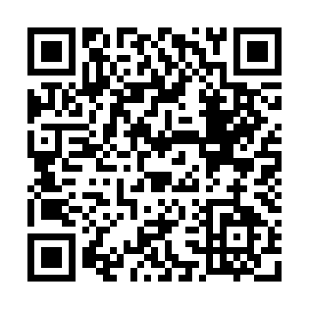 QR code for U333M