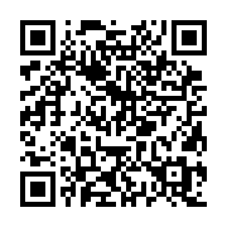 QR code for U333NM