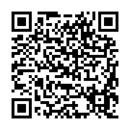 QR code for U339L