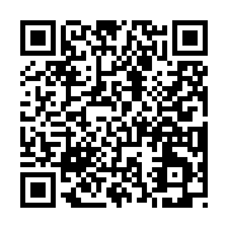 QR code for U339M