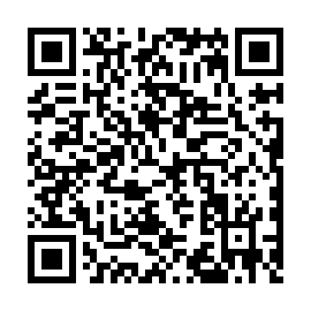 QR code for U369G