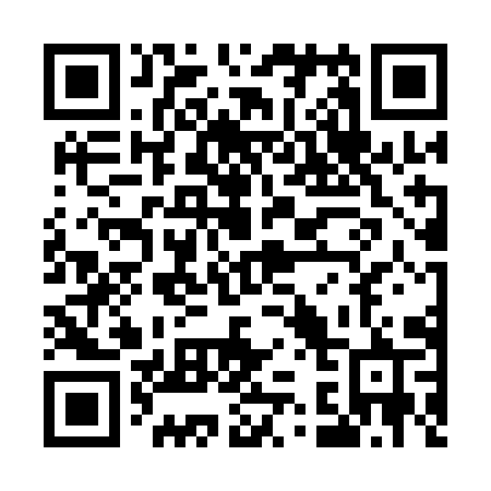 QR code for plate U37 1IR