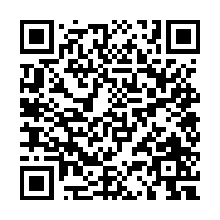 QR code for U375P
