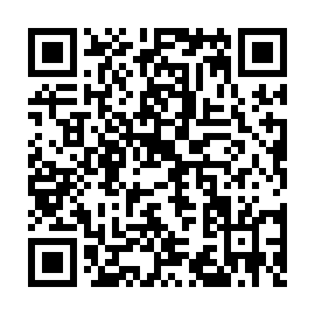 QR code for U381E