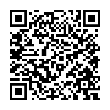 QR code for U382V
