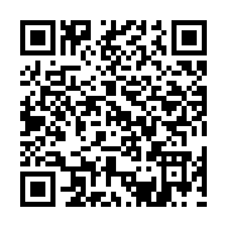 QR code for U383O