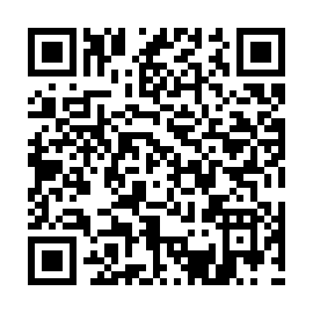 QR code for U383P