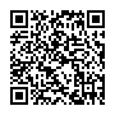QR code for U383X
