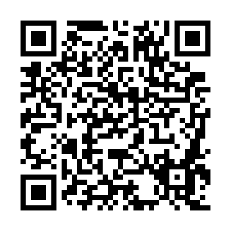 QR code for U387M