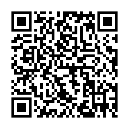 QR code for U387X