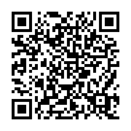 QR code for plate U38 8FF