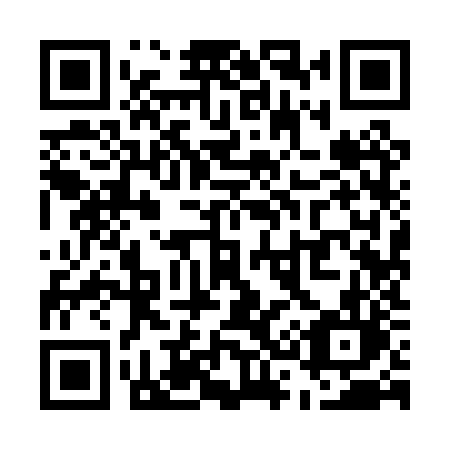 QR code for U390ZL