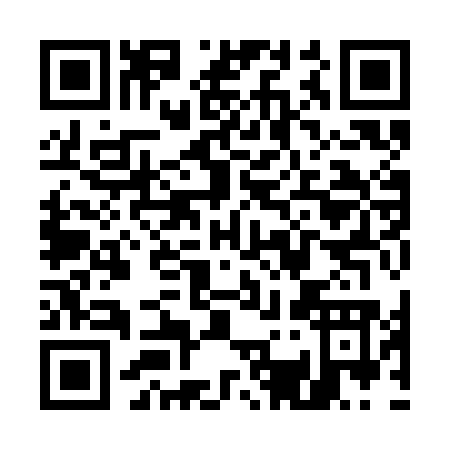 QR code for U393O