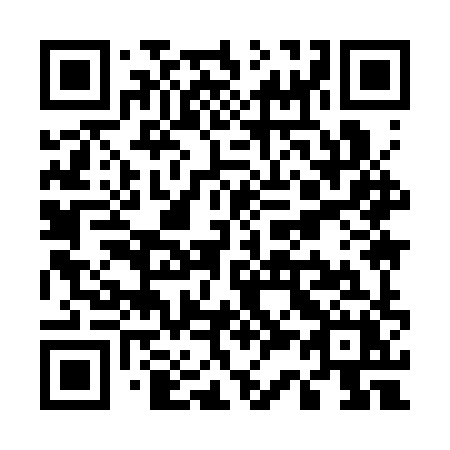 QR code for plate U39 3XX