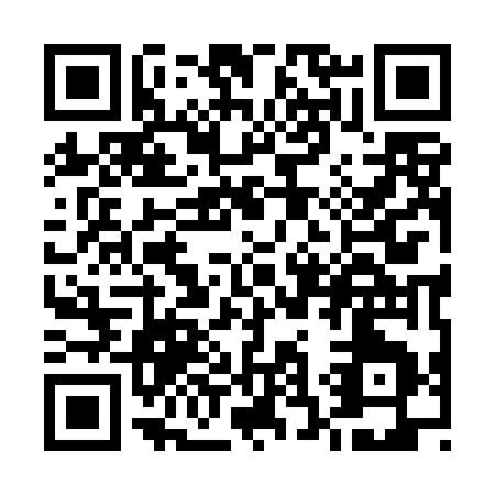 QR code for U394G