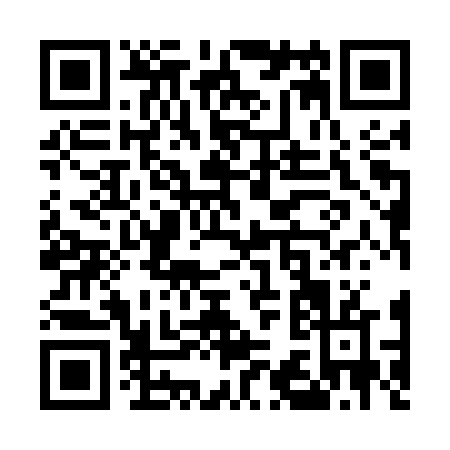QR code for U395V