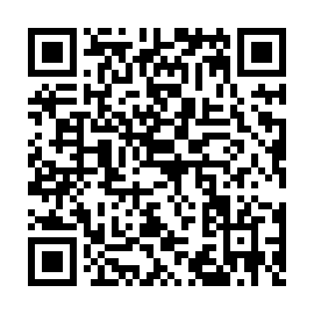 QR code for U398Z
