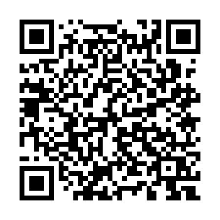 QR code for U411NQ