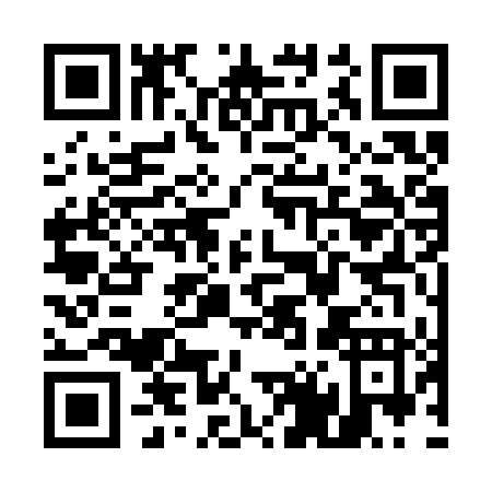 QR code for U433T