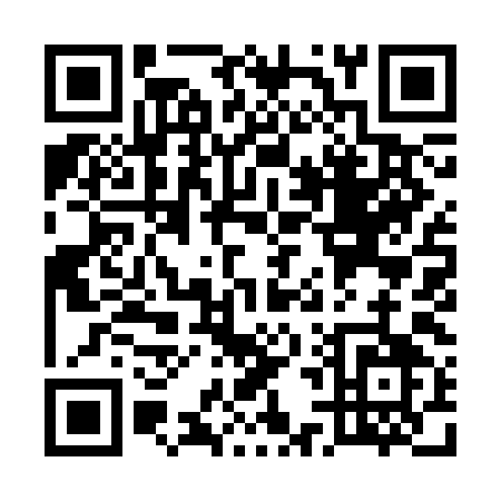 QR code for U493I