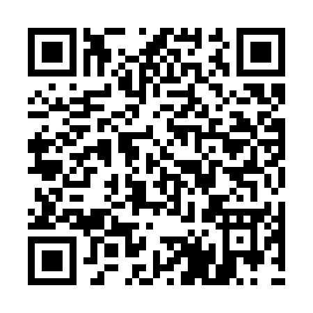 QR code for U493U