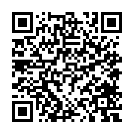 QR code for U495L