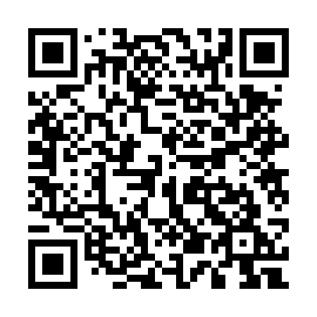 QR code for plate U52 4SG