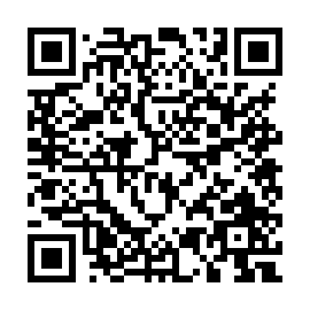 QR code for U528P