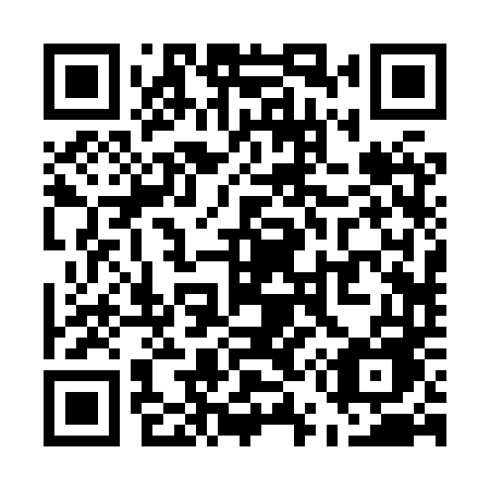 QR code for plate U52 8TE