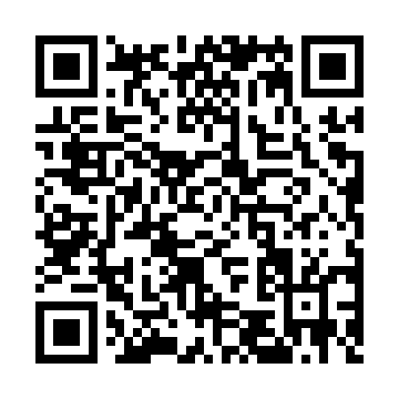 QR code for U541U