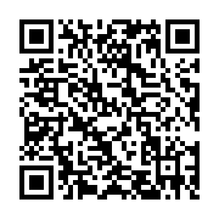 QR code for U595P