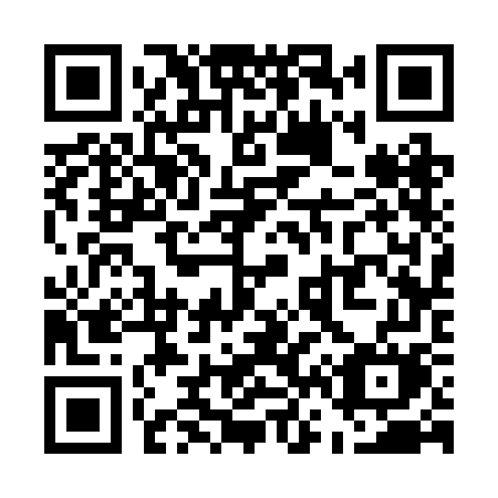 QR code for plate U63 2GM