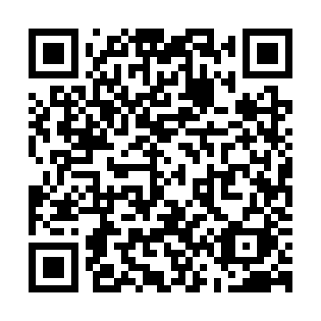 QR code for U653ZI