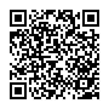 QR code for U663Q