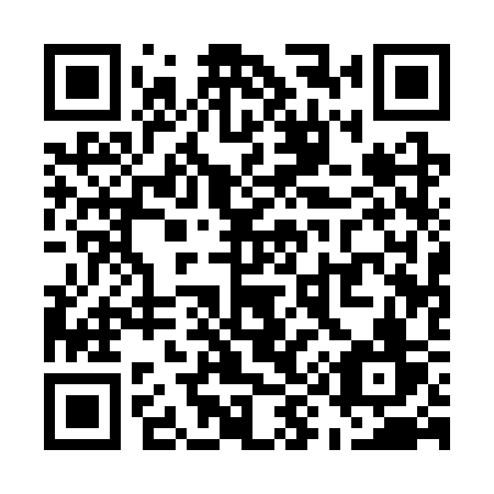 QR code for plate U91 3SV