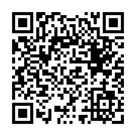 QR code for U913T