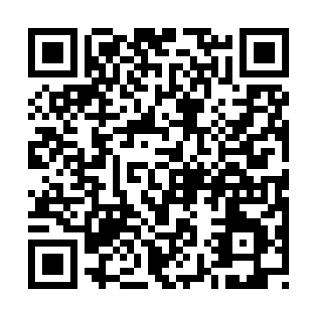 QR code for U919X