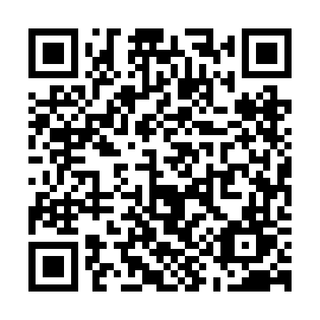QR code for plate U95 2FT