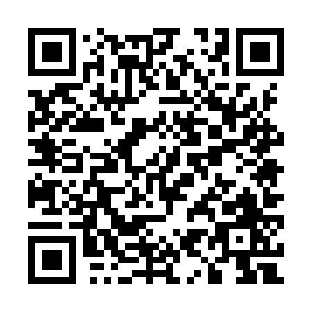 QR code for U959Z