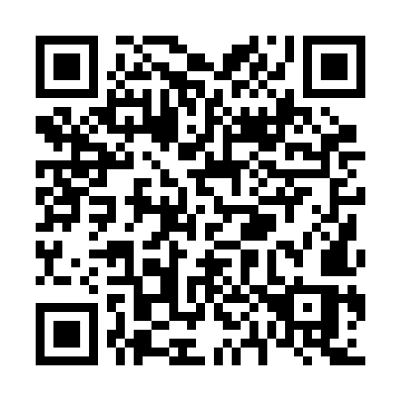 QR code for plate V00 2MS