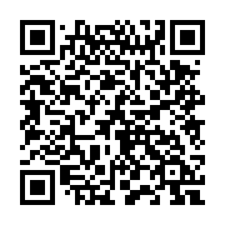 QR code for plate V00 4SF