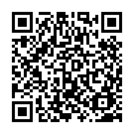 QR code for plate V01 0GB