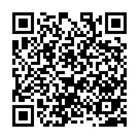 QR code for V011C