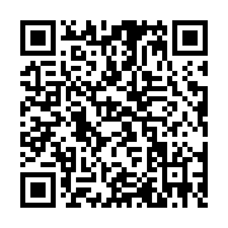 QR code for V017P