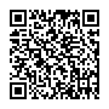 QR code for V029Y