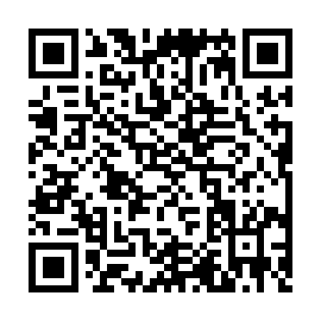 QR code for V031I